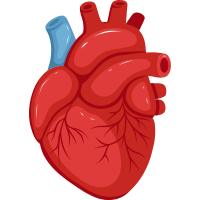 Cardiology