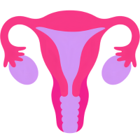 Gyne Obs