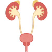 Urology